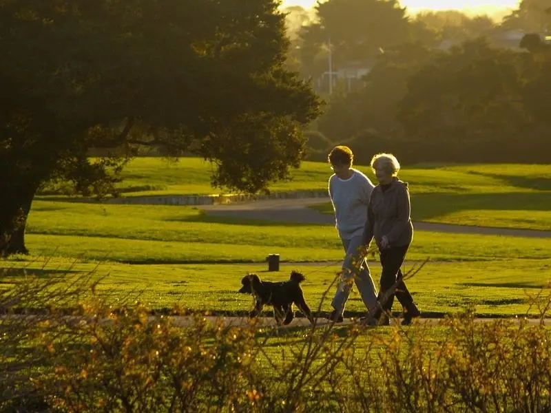 1622787643718261.jpg 4010_看圖王.web.jpg