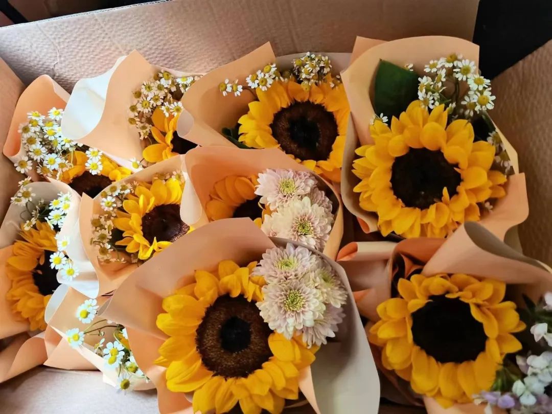 1652670582921234.jpg 22.jpg